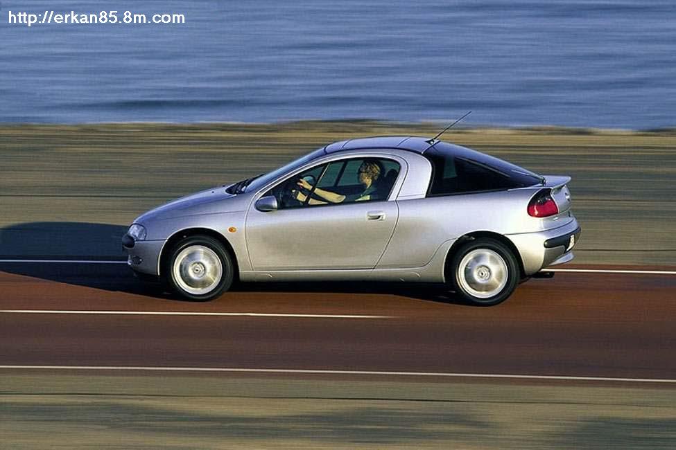 Opel_Tigra.jpeg (76430 bytes)