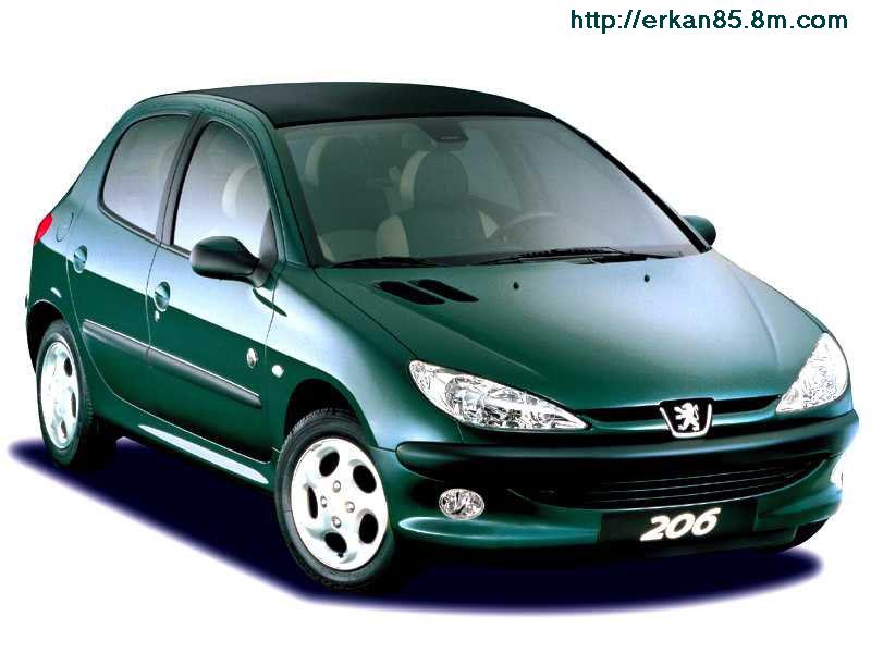Peugeot_206.jpeg (51915 bytes)
