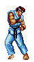 ryu.gif (5418 bytes)